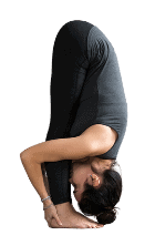 woman in standing forward bend yoga pose asana